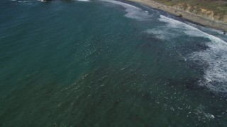 DFKSF16_098 - 5K aerial stock footage of tracking seagulls flying near the coast, Big Sur, California
