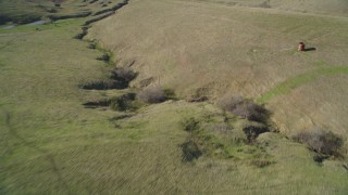 DFKSF16_148 - 5K aerial stock footage of a reverse view of cattle and hills in San Luis Obispo County, California