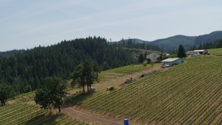 DX0001_009_014 - 5.7K aerial stock footage of flying away from rows of grapevines at a hillside vineyard in Hood River, Oregon