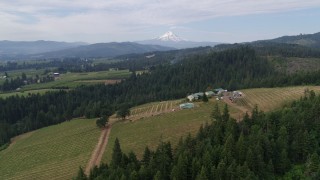 DX0001_015_006 - 5.7K aerial stock footage orbiting a winery revealing Mt Hood, Hood River, Oregon