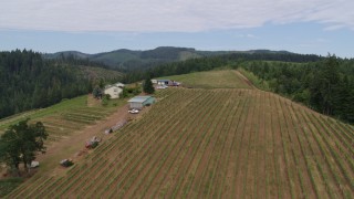 DX0001_015_009 - 5.7K aerial stock footage flying over vineyards and tasting rooms, Hood River, Oregon