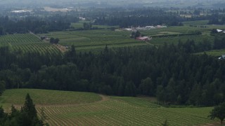 DX0001_015_029 - 5.7K aerial stock footage of Phelps Creek Vineyards and neighboring orchards in Hood River, Oregon