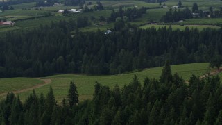 DX0001_015_030 - 5.7K aerial stock footage tilt from vineyards on a hillside revealing orchards, Hood River, Oregon