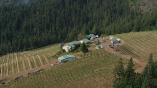 DX0001_016_001 - 5.7K aerial stock footage of a hilltop winery and vineyards, Hood River, Oregon