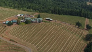 DX0001_016_009 - 5.7K aerial stock footage approach and fly past a winery and vineyards in Hood River, Oregon