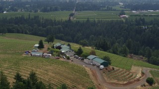DX0001_016_019 - 6k drone aerial stock footage of a wide orbit of the Phelps Creek Vineyards on a hill in Hood River, Oregon