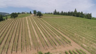 DX0001_016_024 - 5.7K aerial stock footage of passing over grapevines at a vineyard in Hood River, Oregon