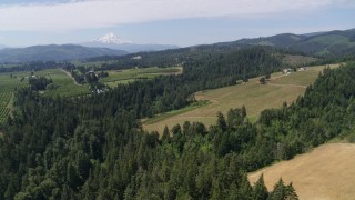 DX0001_017_021 - 5.7K aerial stock footage of Phelps Creek Vineyards with Mount Hood in the background, Hood River, Oregon