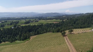DX0001_017_024 - 5.7K aerial stock footage of a reverse view of grapevines at Phelps Creek Vineyards with a view of Mount Hood, Hood River, Oregon