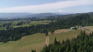 DX0001_017_025 - 5.7K aerial stock footage of flying over grapevines at Phelps Creek Vineyards with a view of Mount Hood, Hood River, Oregon