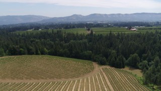 DX0001_017_032 - 5.7K aerial stock footage of approaching orchards from Phelps Creek Vineyards in Hood River, Oregon