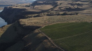 DX0001_019_028 - 5.7K aerial stock footage fly over vineyard toward Lewis and Clark Highway in Goldendale, Washington