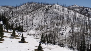 DX0002_134_025 - 5.7K aerial stock footage fly low over snow and evergreens toward dead trees on mountain, New Mexico