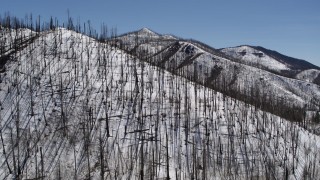 DX0002_134_026 - 5.7K aerial stock footage of flying over snowy mountain slope with dead trees, New Mexico