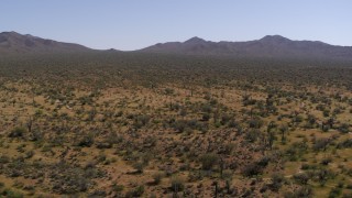 DX0002_141_006 - 5.7K aerial stock footage flying over cactus plants in the desert near arid mountains