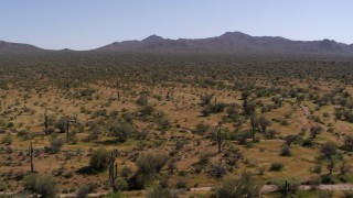 DX0002_141_007 - 5.7K aerial stock footage flying over cactus plants and desert vegetation near arid mountains