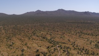 DX0002_141_008 - 5.7K aerial stock footage flying away from cactus plants and desert vegetation near arid mountains