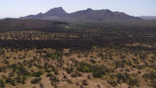 DX0002_141_015 - 5.7K aerial stock footage reverse view of cactus and desert plants, arid mountains in the distance