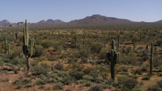 DX0002_141_020 - 5.7K aerial stock footage of a reverse view of sparse desert vegetation and cactus plants, and then ascend