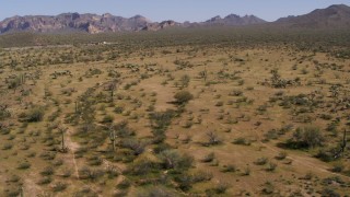 DX0002_141_021 - 5.7K aerial stock footage of flying over and away from sparse desert vegetation and cactus plants