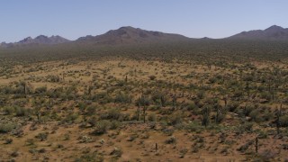 DX0002_141_022 - 5.7K aerial stock footage of orbiting sparse desert vegetation and cactus plants