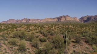 DX0002_141_024 - 5.7K aerial stock footage of flying low over desert plants and tall cactus with mountains in the distance