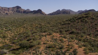 DX0002_141_025 - 5.7K aerial stock footage of flying over desert plants and tall cactus with rugged mountains in the distance