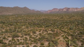 DX0002_141_029 - 5.7K aerial stock footage descend to fly low over desert plants and cactus
