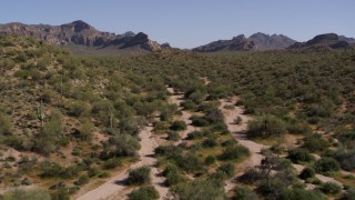 DX0002_141_030 - 5.7K aerial stock footage of flying low over green desert plants and past cactus, mountains in the background