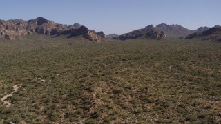 DX0002_141_031 - 5.7K aerial stock footage of ascending over green desert plants and cactus, mountains in the background