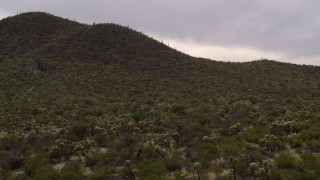 DX0002_145_001 - 5.7K aerial stock footage fly low to approach a small peak with cactus plants in Tucson, Arizona