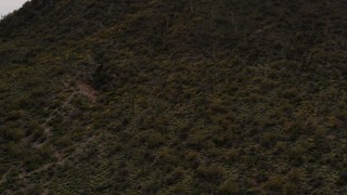DX0002_145_005 - 5.7K aerial stock footage approach a small peak with cactus plants in Tucson, Arizona