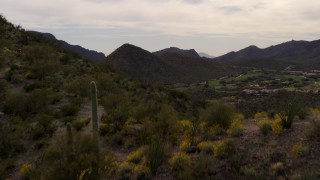DX0002_145_006 - 5.7K aerial stock footage fly over a small peak with cactus plants, reveal homes and golf course in Tucson, Arizona