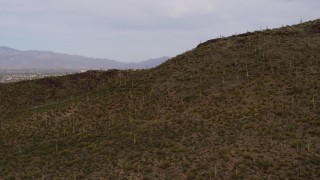 DX0002_145_013 - 5.7K aerial stock footage reverse view of cactus and vegetation on Sentinel Peak in Tucson, Arizona
