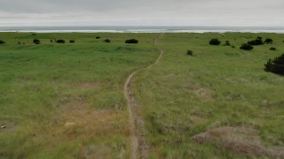 DX0002_148_013 - 4K aerial stock footage of flying low over a path through tall grass in Long Beach, Washington