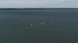 DX0002_160_033 - 5.7K aerial stock footage of sailboats on Lake Mendota, Madison, Wisconsin