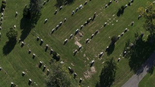 DX0002_211_009 - 5.7K aerial stock footage a bird's eye view of gravestones at Morningside Cemetery in Syracuse, New York