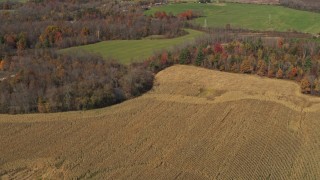 DX0002_216_042 - 5.7K aerial stock footage of flying by a corn field in Fort Ann, New York