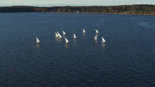 DX0002_224_054 - 5.7K aerial stock footage circling a group of sailboats on Lake Champlain, Burlington, Vermont