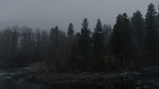 DX0002_227_025 - 5.7K aerial stock footage stationary view of trees as snow falls, Leavenworth, Washington