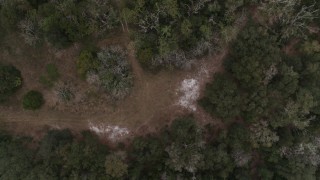 DX0003_234_038 - 5.7K aerial stock footage of a bird's eye view descending toward forest clearing, Orlando, Florida