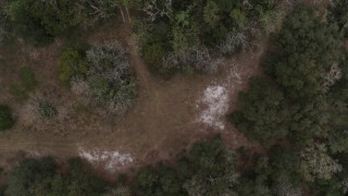 DX0003_234_039 - 5.7K aerial stock footage of ascending from a forest clearing, Orlando, Florida