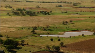HDA12_099 - HD stock footage aerial video of cattle grazing near a watering hole in Temple, Oklahoma