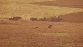 HDA12_138 - HD stock footage aerial video of cows and a tractor in a field at sunset in Oklahoma
