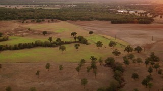 HDA12_161 - HD stock footage aerial video of cows grazing on a pasture at sunset in Texas