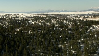 HDA13_318 - HD stock footage aerial video fly over a mountain ridge with evergreen trees in Park County, Colorado