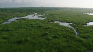 PVED01_073 - 4K aerial stock footage fly low over marshland and bayou to reveal surge barrier at sunrise in St. Bernard Parish, Louisiana