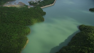 SS01_0058 - 5K stock footage aerial video fly over forest and Tai Tam Reservoir to reveal dam on Hong Kong Island, China