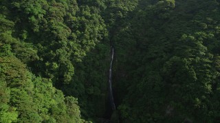 SS01_0109 - 5K stock footage aerial video of waterfall and dense forest in the mountains of Hong Kong Island, China