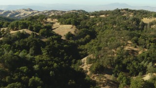 TS01_132 - 1080 aerial stock footage video fly over mountains with trees in the Ohlone Regional Wilderness, California